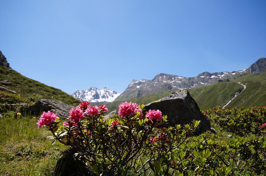 Appartementhaus Nadine Langenfeld Luaran gambar